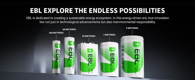 EBL Ni-MH AA AAA Rechargeable Batteries Combo