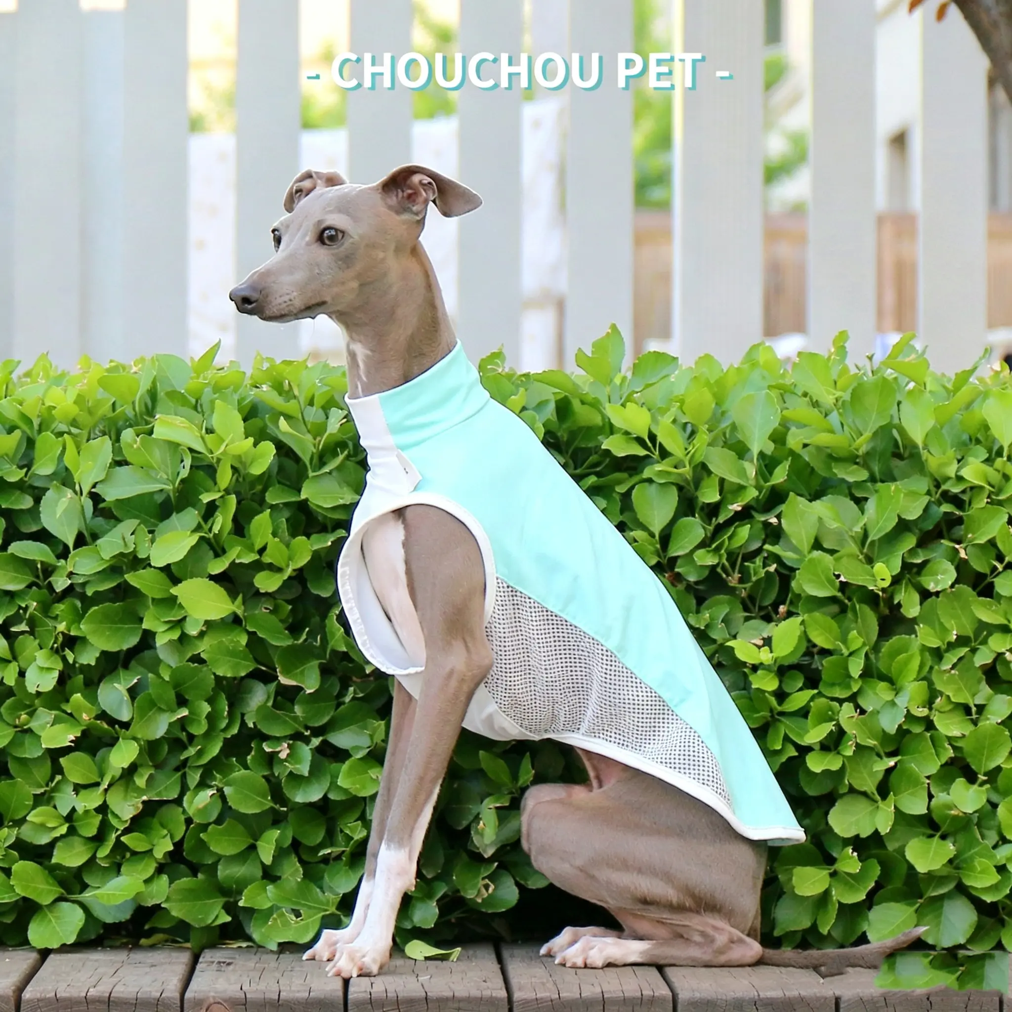 Dog Tank Top Vest Shirt - New Summer Breathable Mesh, Cooling, Sun Protection, Heat Relief Slim Vest for Italian Greyhounds, Whippets, Small