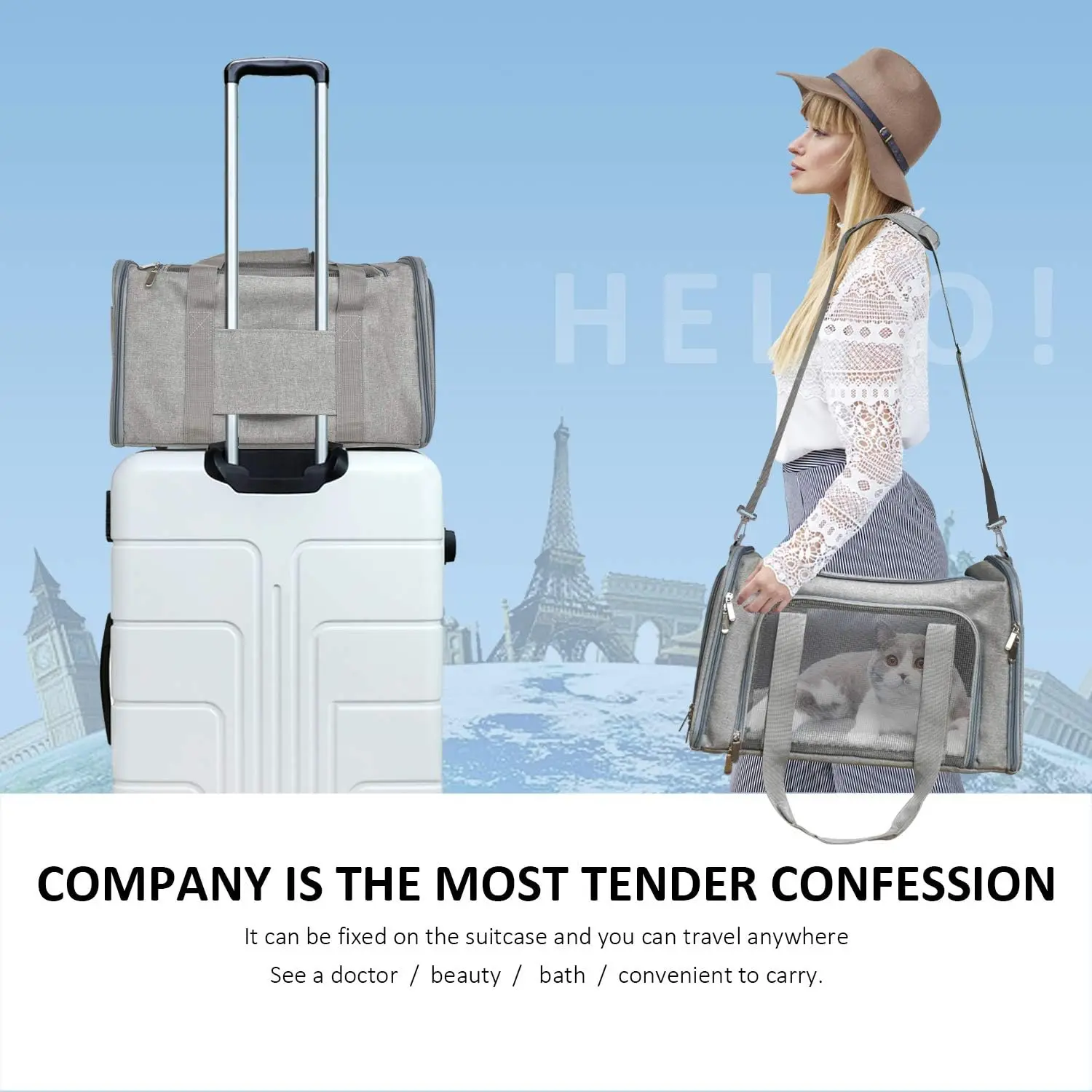 Foldable Breathable Pet Carrier, Portable Pet Bag, Large Cat Carriers Dog Carrier Pet Carrier, Up To 25Lbs Big Dog Carrier, Soft Sided Pet Travel Carrier