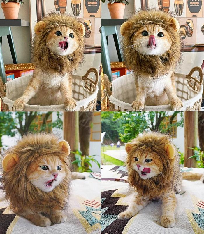 【Pet Supplies】Generic Lion Mane Wig for Cats Pet Costume Adjustable Headwear Fancy Dress Washable Soft Fur 1 Piece Easy Wear Make Pets Cute Festival Party Gift