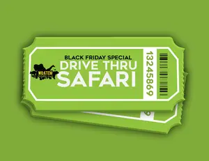 Drive Thru Safari Ticket – Wilstem Wildlife Park