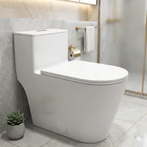 Compact One-Piece Elongated Toilet Dual Flush 1.1/1.6 GPF Siphon Flushing, 12 inch Rough-In, 16-1/8 inches Comfort Standard Height, Quiet Soft-Close Seat, Fully Skirted Easy-Clean Design