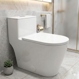 FORIOUS Compact One-Piece Elongated Toilet Dual Flush 1.1/1.6 GPF Siphon Flushing, 12 inch Rough-In, 16-1/8 inches Comfort Standard Height, Quiet Soft-Close Seat, Fully Skirted Easy-Clean Design summergarden