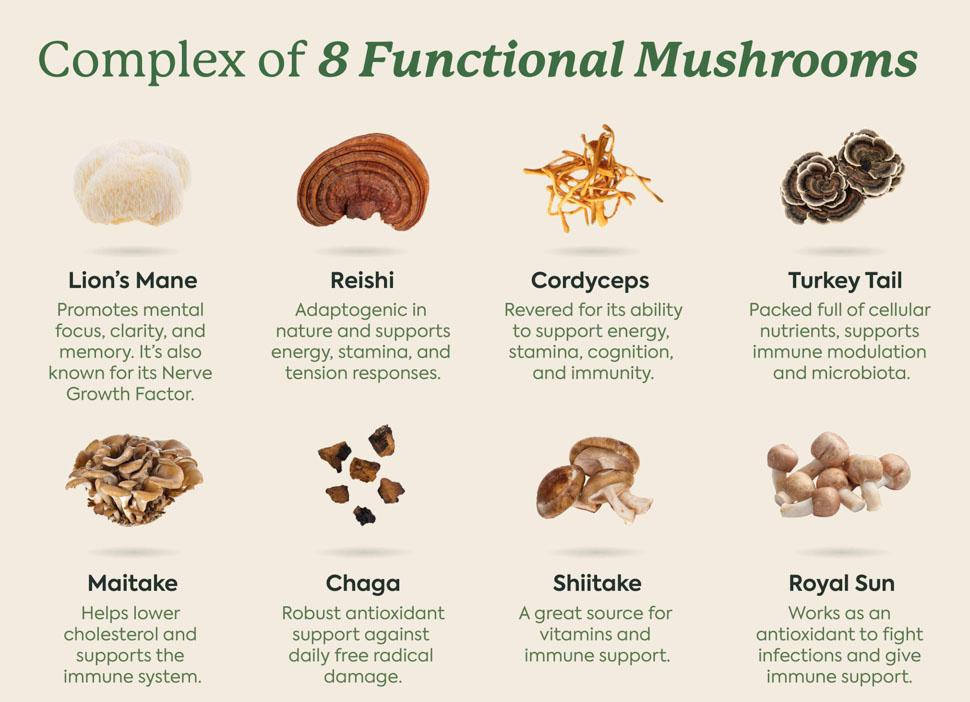 WonderDay Mushroom Gummies by Plant People - Zero Sugar, Functional Mushroom Gummy Supplement - 8+ Super Mushrooms - Organic Raspberry Flavor