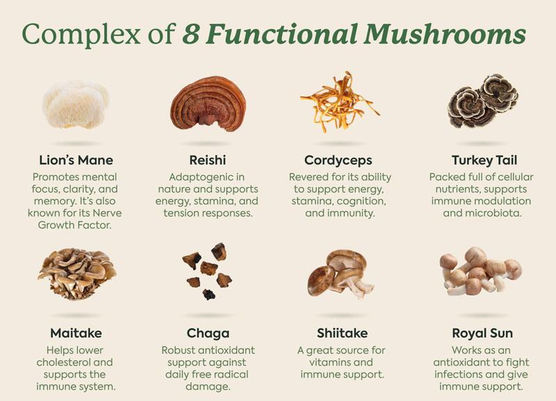 WonderDay Mushroom Gummies by Plant People - Zero Sugar, Functional Mushroom Gummy Supplement - 8+ Super Mushrooms - Organic Raspberry Flavor