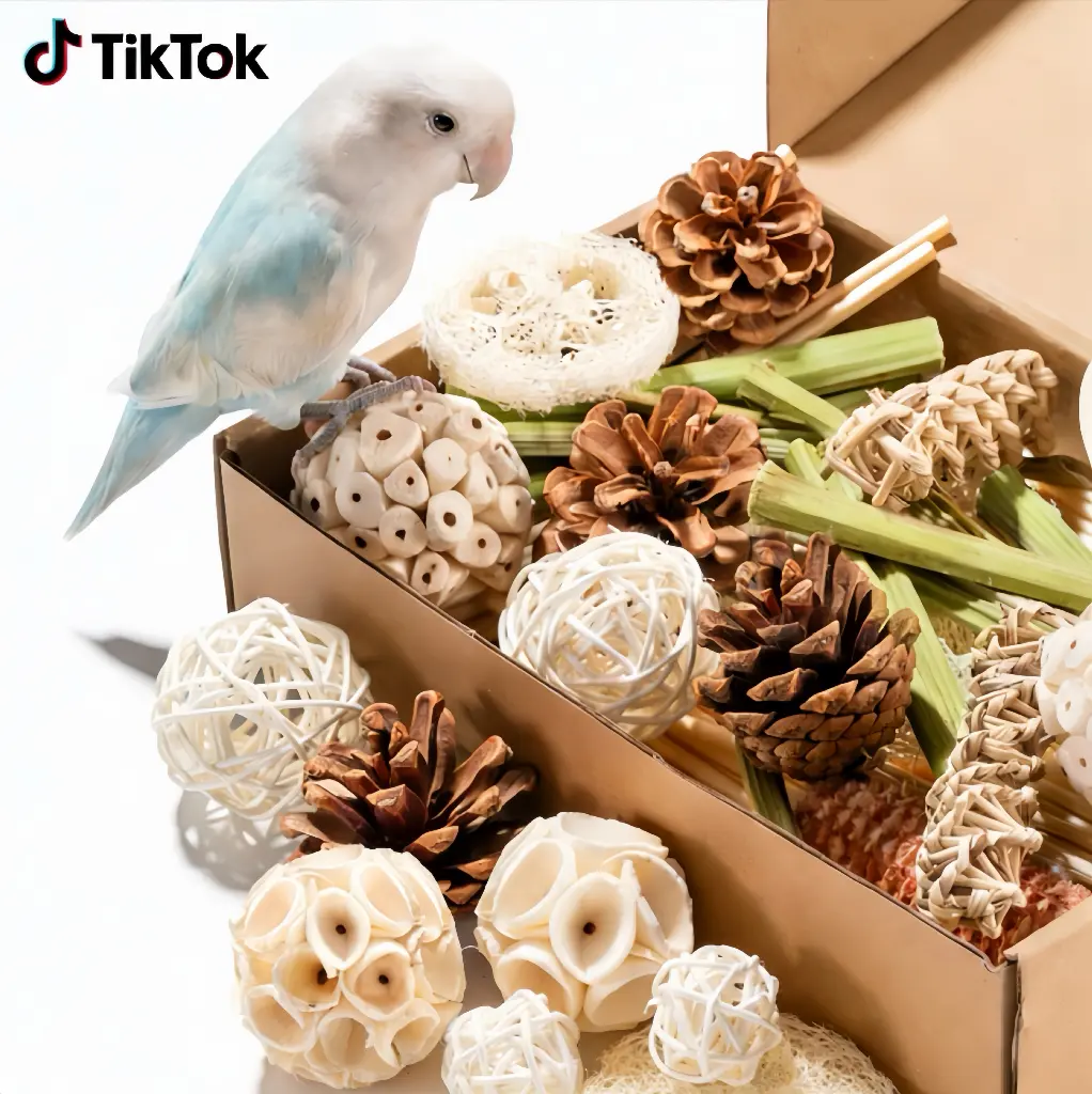 JOUSONTY 40Pcs Wood Interactive Bird Training Aids - Sound-Infused Toys for Parakeets & Small Parrots, Encourages Natural Foraging, Includes Bird Training Whistle