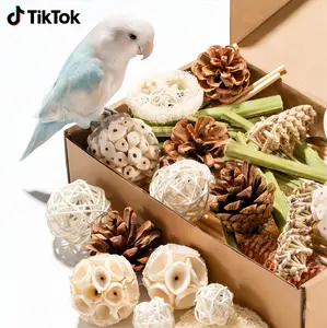 JOUSONTY 40Pcs Bird Toys • Natural Foraging for Parakeets, Cockatiels & Small Parrots JOUSONTY 40Pcs Bird Toys • Natural Foraging for Parakeets, Cockatiels & Small Parrots