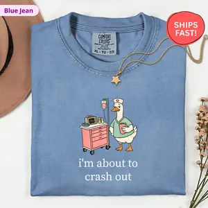 Silly Goose Nurse Shirt, Comfort Colors Funny Nurse Tee, I'm About to Crash Out, Night Shift CNA Gift, Nurse Appreciation