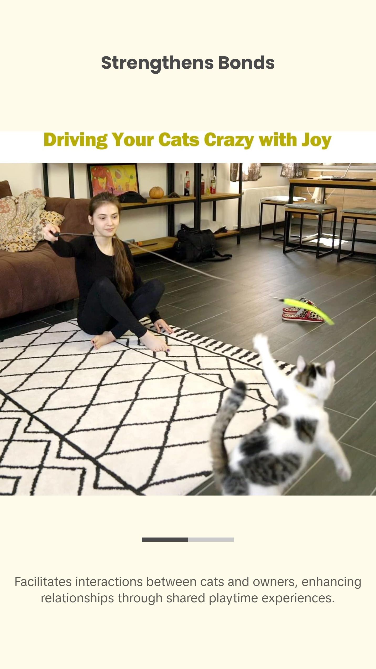 Interactive Cat Toys - Retractable Wand Toy and Feather Toys Refills for Indoor Cats to Chase and Exercise