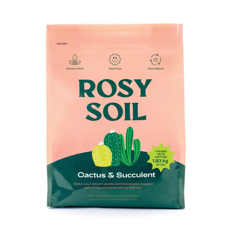 cactus soil mix ratio - TikTok Shop