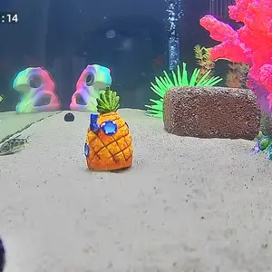 HomiQ Life 3MP 2K Aquarium & Terrarium Pet Camera.Magnetic Install &Close-Focus Lens for Fish,Lizard, Reptile Pet and Window Bird Feeder,2.4GHz & 5GHz WiFi,Color Night Vision,Auto-focus,24/7 Recording