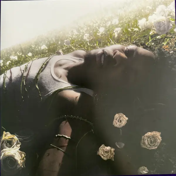 D4vd - Withered (Pure Cloudy White LP) (Vinyl LP)