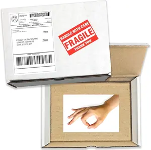 Mail Prank - Gotcha! You Looked Surprise Prank Gets Sent Directly to Your Recipient, 100% Anonymously!