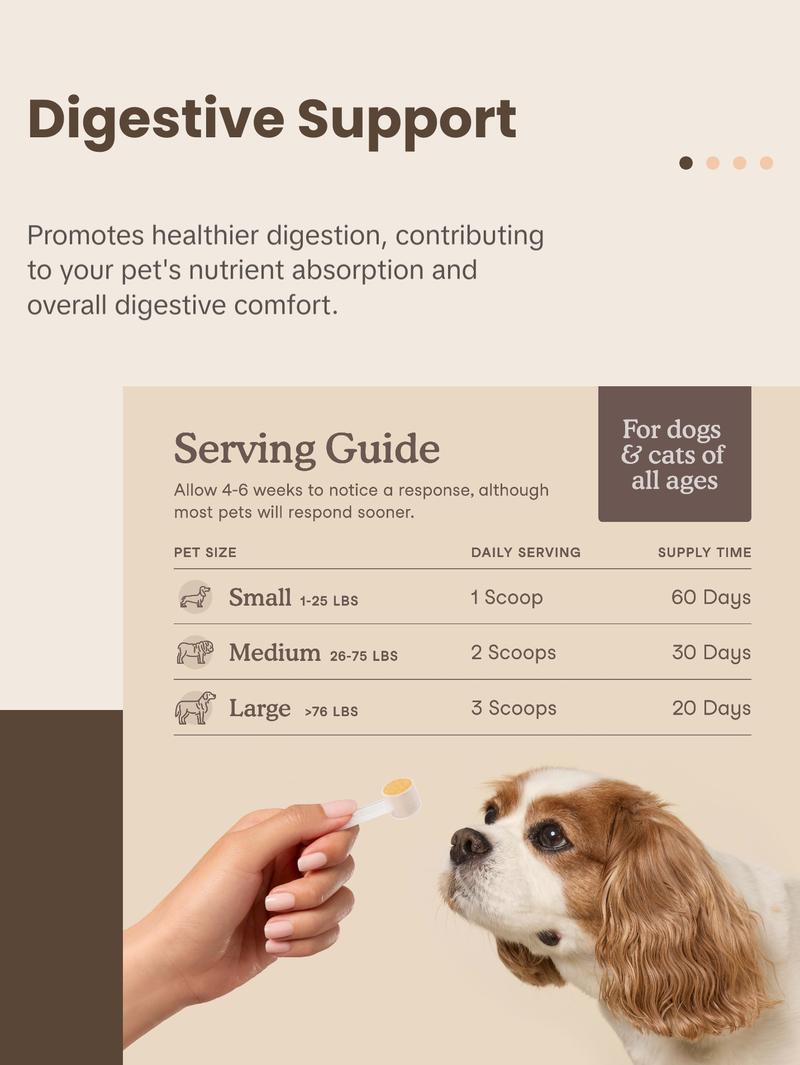 Liver Support for Dogs and Cats