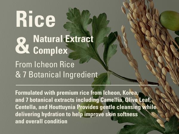 SIOT Rice Jam Mask 8.45oz | Korean Rice Hydrating Wash-Off Face & Body Mask with Gentle Exfoliating, Daily Moisture Care for Smooth, Soft Skin