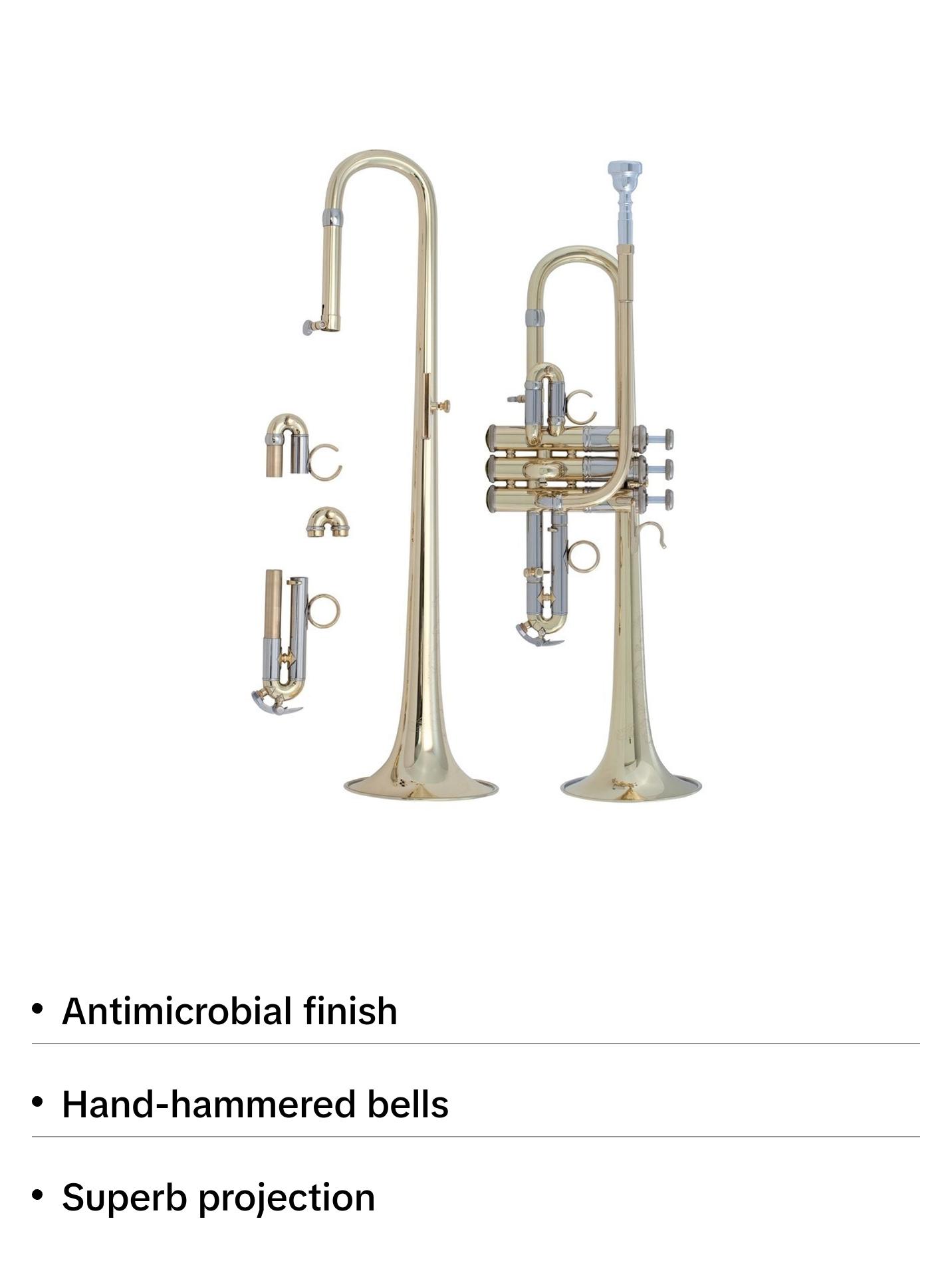 Bach Stradivarius Artisan D/Eb Trumpet Outfit, Lacquer