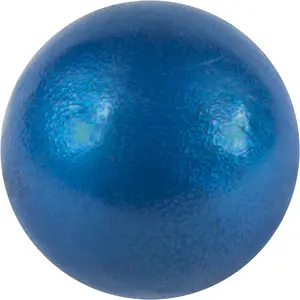 Champro Cast Iron Shot Put