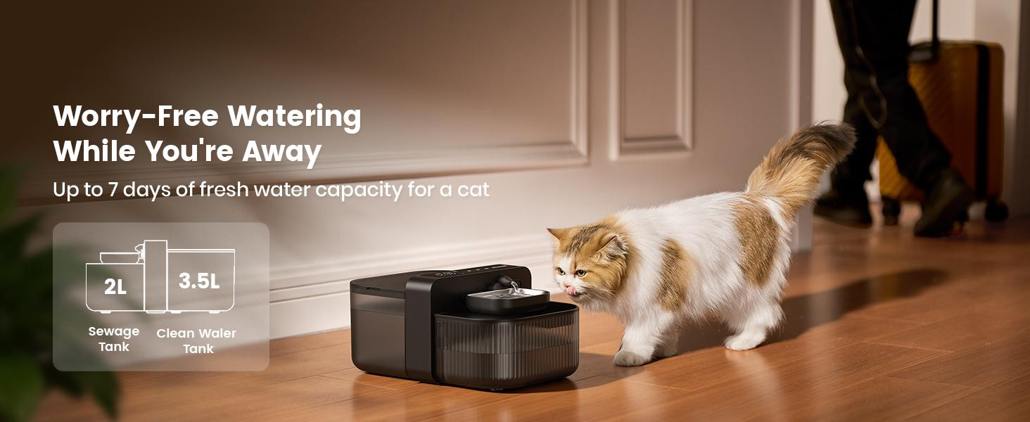 Oneisall Filterless Cat Water Fountain | 3.5L Automatic Stainless Steel Pet Dispenser with Separated Clean & Waste Tank, 2000mAh Battery (64-113 Days Runtime), Cordless, Detachable Easy-to-Clean Bowl, Scheduled Water Change (Up to 6x Daily)