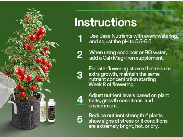 VIVOSUN Liquid Nutrients Base A & B Bundle, Grow Big Hydroponic Fertilizer, Supports Vegetative and Flowering Stages for Outdoor, Indoor Plants, Plant Food, Set of 8oz