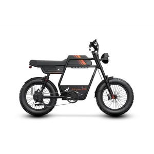 Riding'times GT33 All-Terrain Cafe Racer Cargo Electric Bike