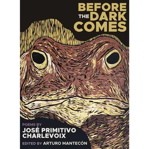 USED-Before the Dark Comes by Mantecon, Arturo Aka (Paperback)