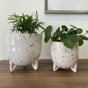 Freckl Ceramic Footed Pot