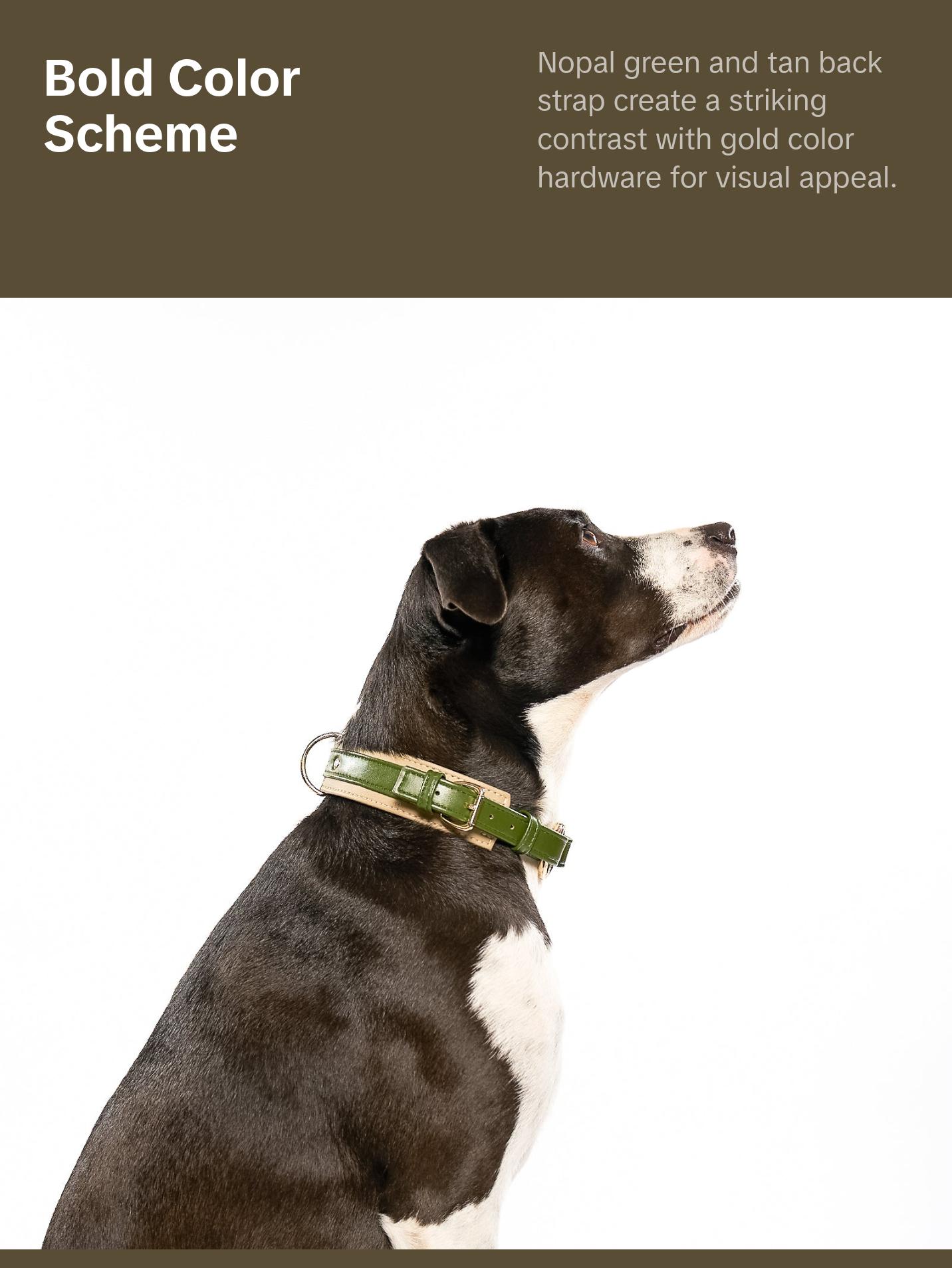 Baby It's You Collar - Nopal Green