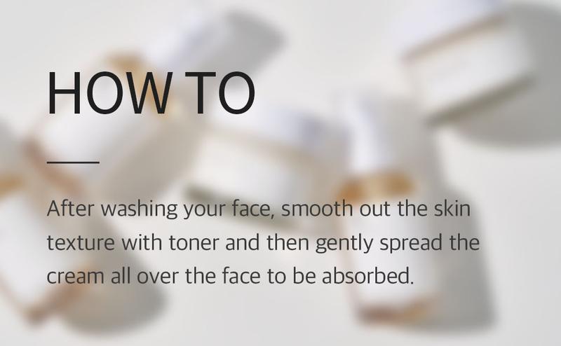 [mixsoon Official Shop] Bean Cream 1.69 fl.oz / 50ml - Intensive Facial Cream, Korean Moisturizer for Glass Skin