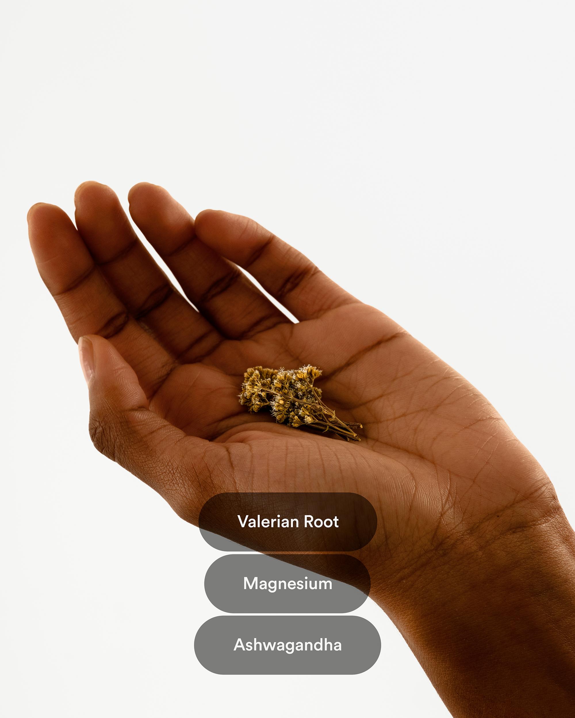 Kind Patches, Dream Patches, 30 Valerian Root Patches: Support Quality Rest, 8 Hour Effect, Magnesium, Ashwagandha Kind Patches, Dream Patches, 30 Valerian Root Patches: Support Quality Rest, 8 Hour Effect, Magnesium, Ashwagandha