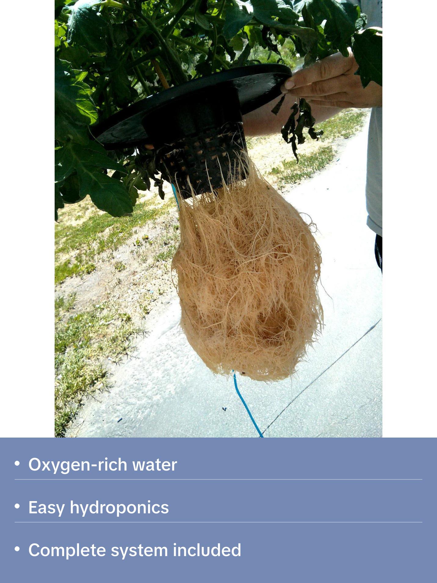 PowerGrow Deep Water Culture 4 Bucket System - 10" for Medium/Large Plants