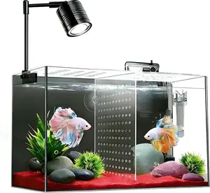 Fish Tank, 3 Gallon Ultra-Clear Glass Fish Aquarium, with Separator Plate for Betta, Fish Tank Starter kit with Filter and Led Light, Black