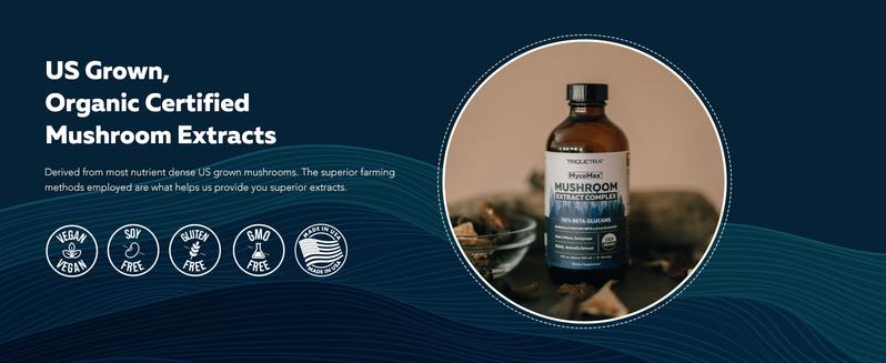 MycoMax Mushroom Complex - 70% Beta Glucans Healthcare Tea