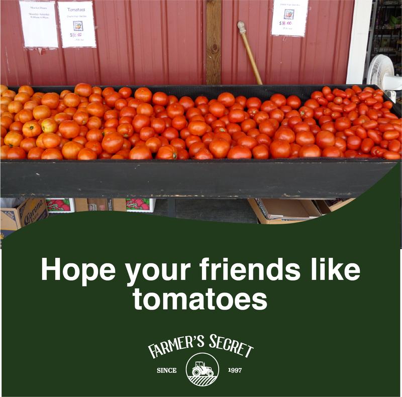 Farmer's Secret Tomato Booster Fertilizer - Super Concentrated - 3:8:7 Ratio Fortified with Humic Acid, Iron and Calcium - Grow More Tomatoes