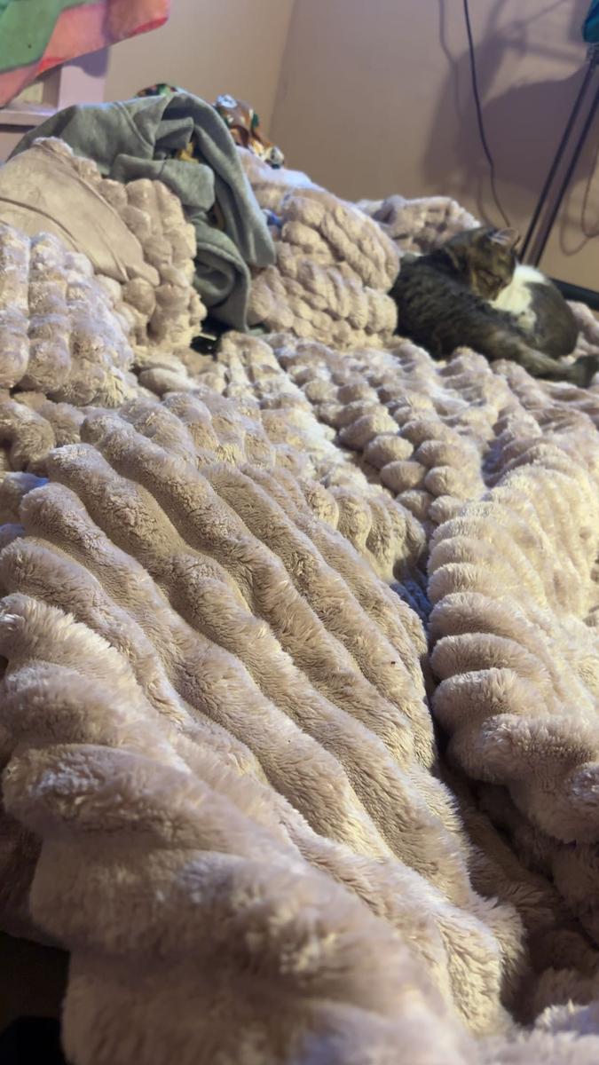 Item: Lotus Pink, Queen