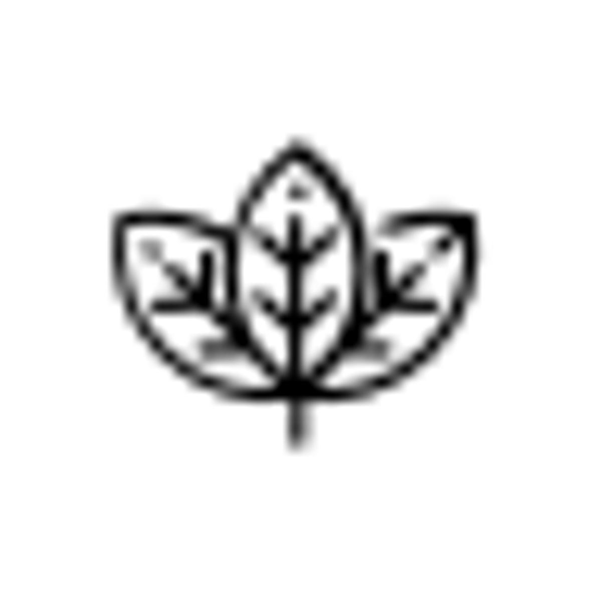 Bright Idea Moisturizer Bright Idea Moisturizer