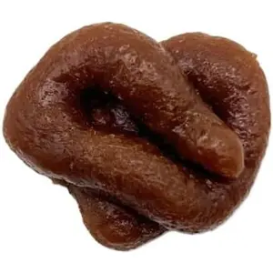 Brown Fake Poop Toy,Brown Realistic Fake Poop,Novelty Floating Fake Poop Toys,for April Fools' Day Prank,Perfect Gag Gift,Prank Gift Gags and Practical Joke Toys