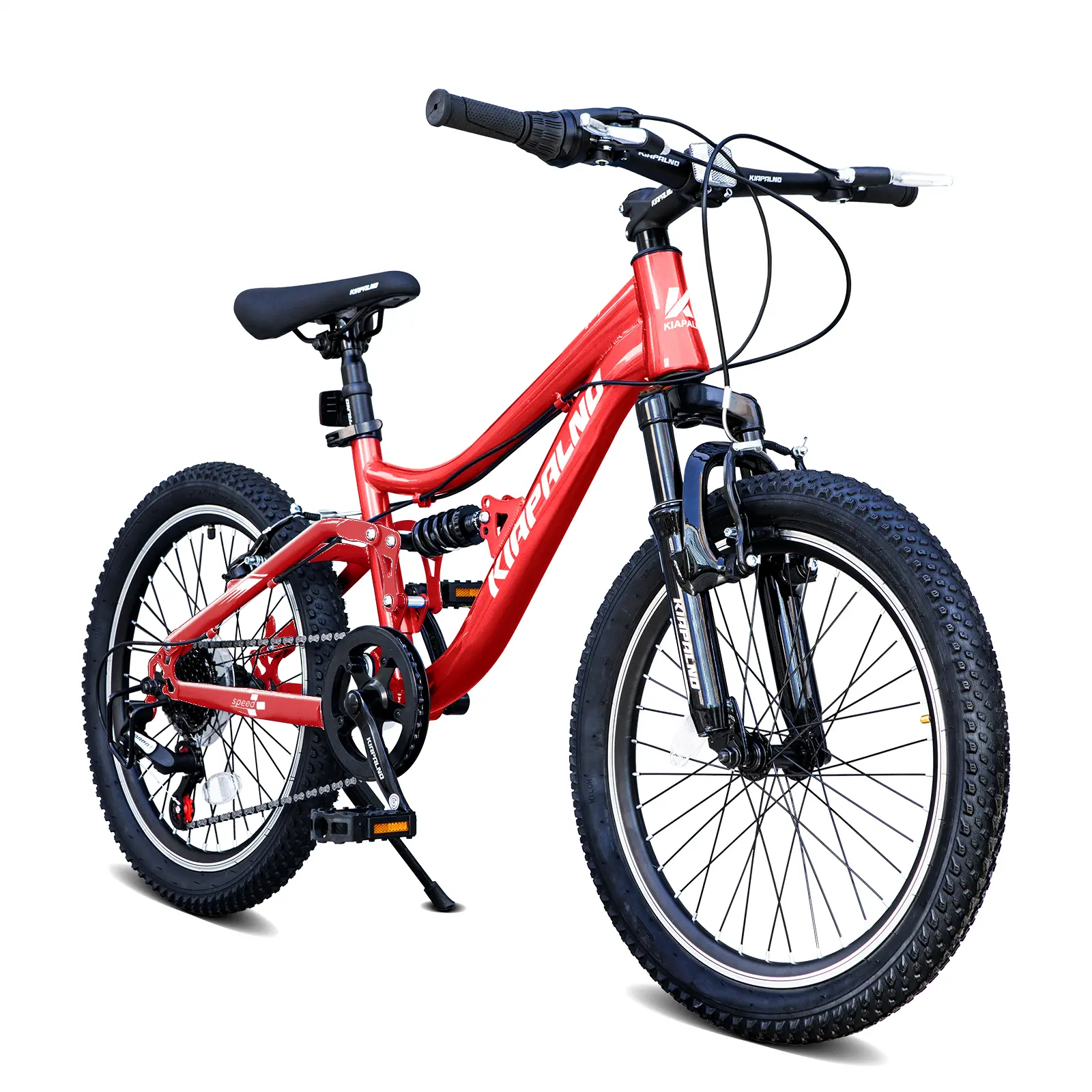 20 Inch Mountain Bike,7-Speed Adult Dual-Suspension Mountain Bicycle with Sturdy Steel Frame, Excellent Twist Shifting,Dual Handbrake & Adjustable Seat for Men Women