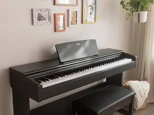 Yamaha Arius Series 88-Key Weighted Action Upright Digital Piano for Beginner and Intermediate Players, Dynamic Response, Grand Piano Sound, 3-pedal Unit, Bench Included, Rosewood YDP105R Cymbal Vent Car Adjustable Semi-Hollow Sunburst Jazz Guitar Starter