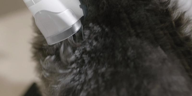 Neakasa S1 Pro 8-in-1 Multi-functional Pet Grooming System for Dogs Cats