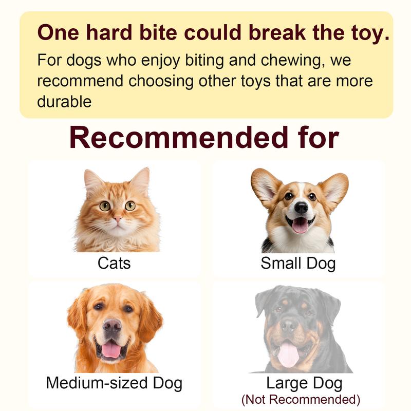 SPOVEN Cat&Small dog Toy - Interactive USB Rechargeable  Ball Toy on Rug , Anti-Depression Fun Gift for Cats & Dogs