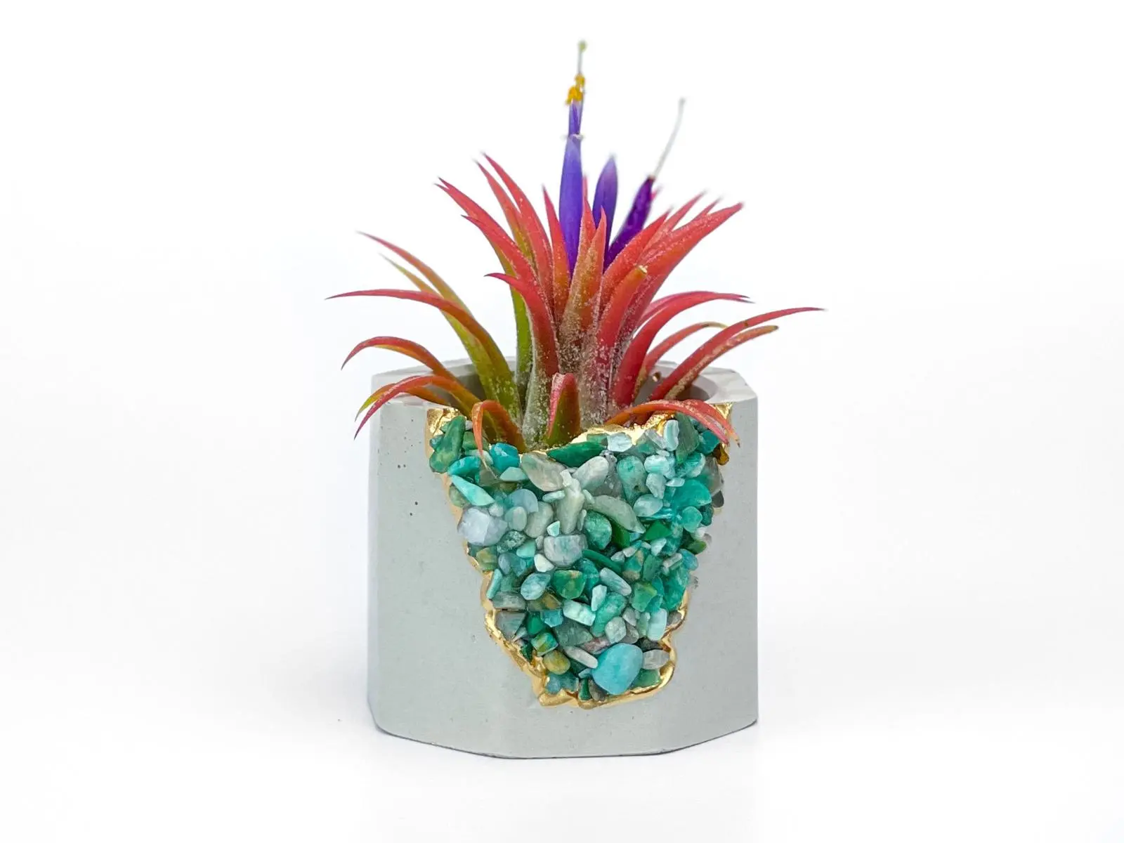 Amazonite Air Plant Holder | Succulent Crystal Geode Planter