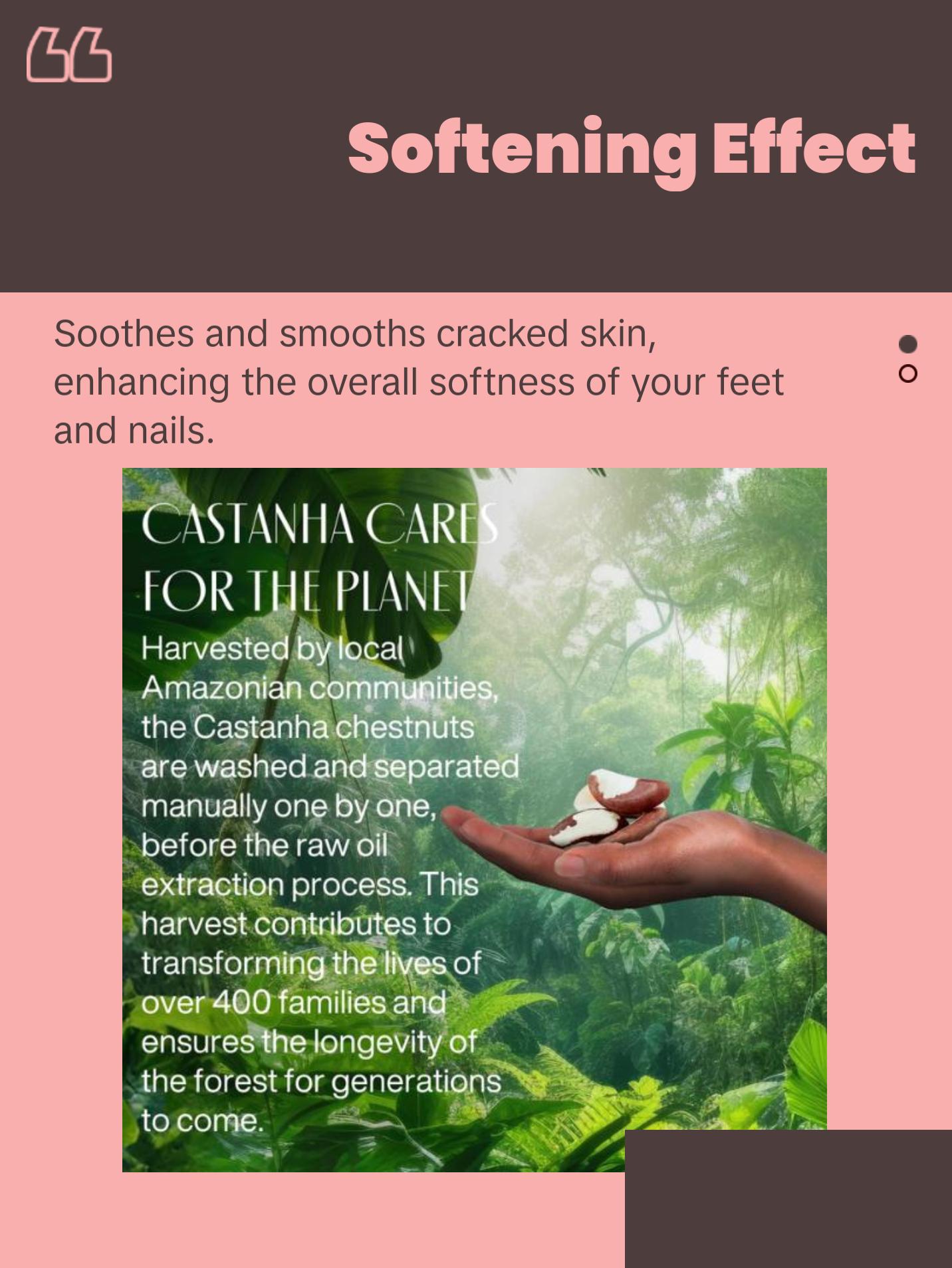 Natura Brazil Nut Foot Cream, Fast-Absorbing Moisturizer, Softens, Smooths & Repairs Rough Dry Skin 2.6oz