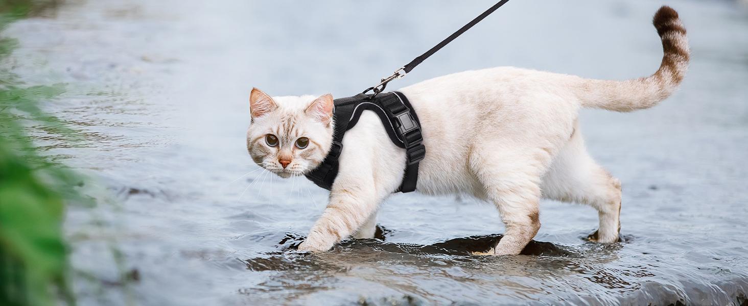 Escape Proof Cat Harness & Leash Set - Adjustable Soft Vest, Reflective Straps for Safe Outdoor Walking, Small to Large Cats Collars No Pull