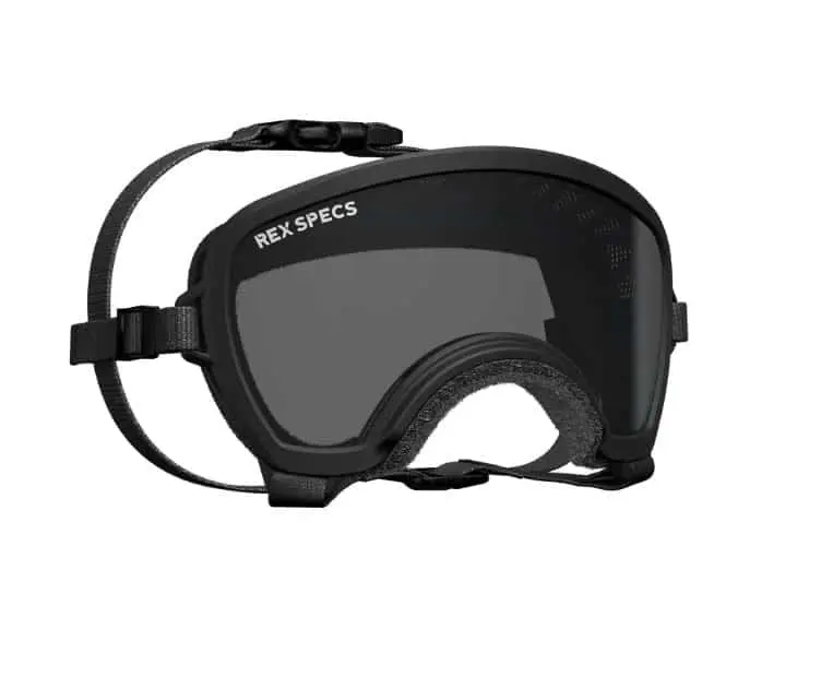 Rex Specs Small Wide Goggles