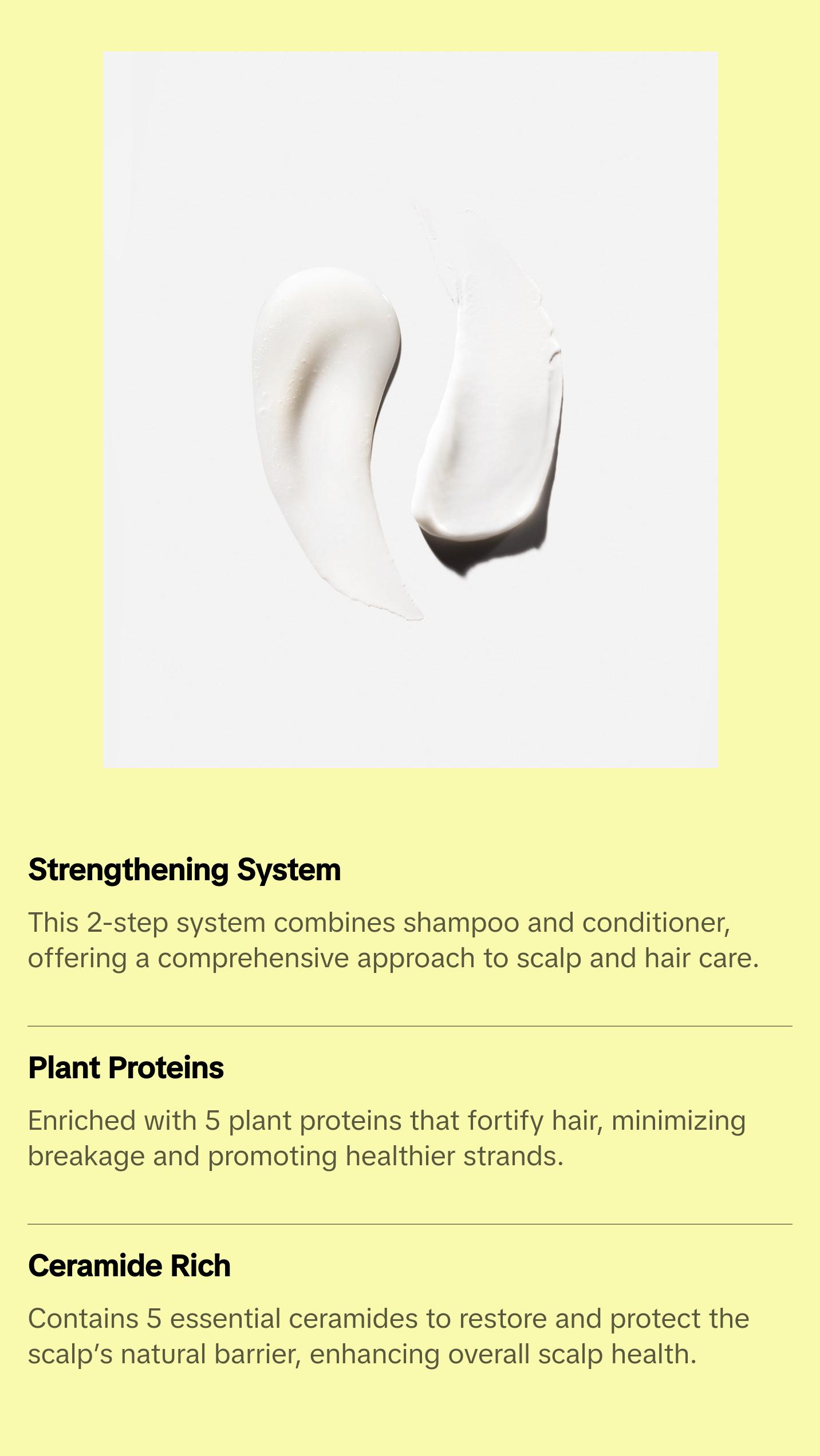 Nécessaire Rosemary Hair Duo | Multi-Protien Strengthening Shampoo + Conditioner For Thinning Hair. For Women + Men. Good For All Hair Types/Textures. Free Of Sulfates. Color-Safe. 250 ml / 8.4 oz