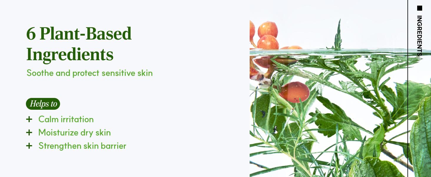 LACTOMEDI Intimate Care Gel | 10-Day Intensive Care Package | Probiotics Applicator | Yeast Infection Care | BV Care for Women | pH Balance Gel | Itchiness and Unpleasant Odor | 1Box x 10pcs