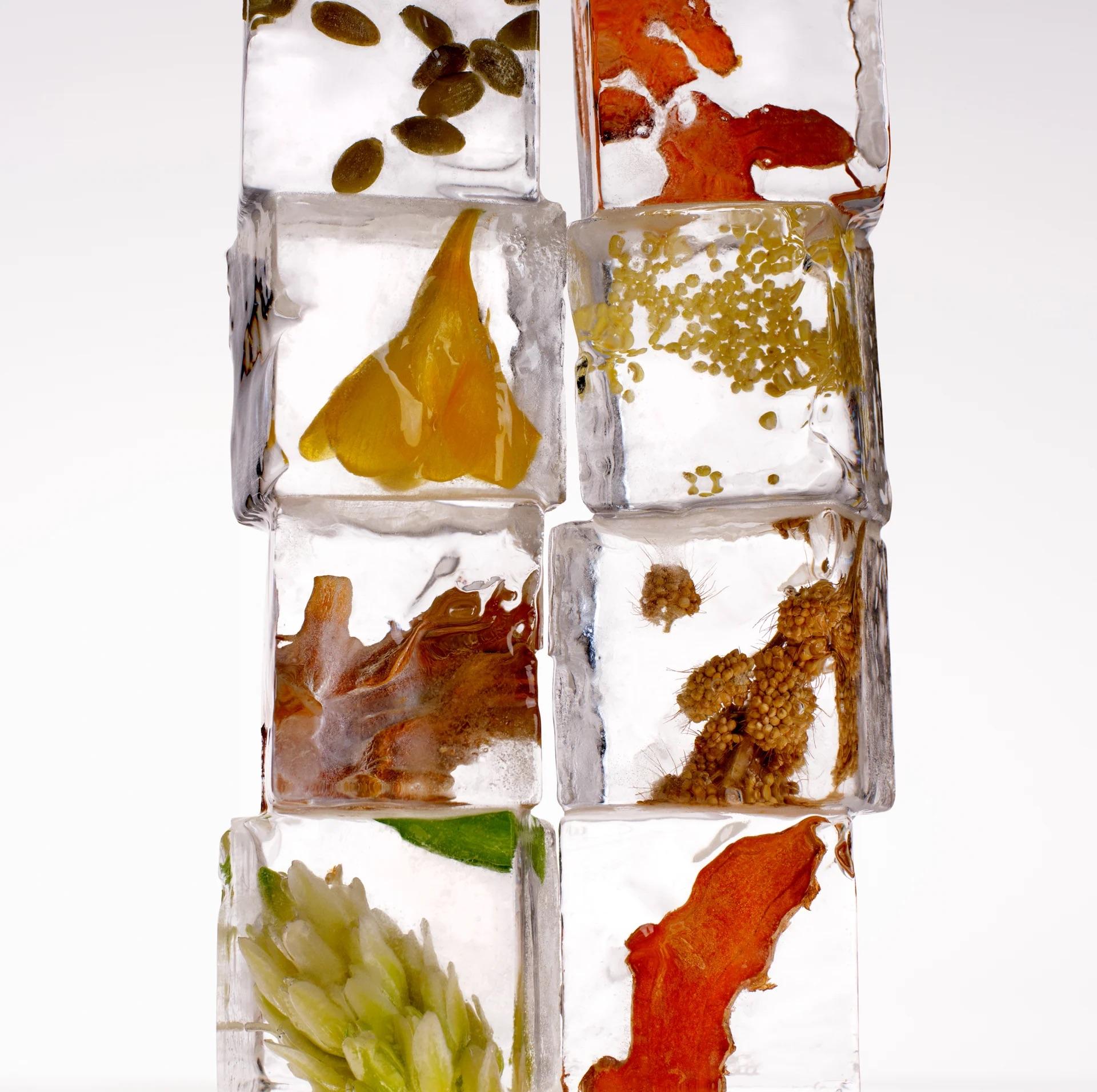 Vegamour GRO+ Advanced Hair Growth & Density Supplements | MD-Formulated Dual-Pill System, Reduces Hair Shedding, Promotes Fuller, Thicker Hair in 30 Days, Vegan