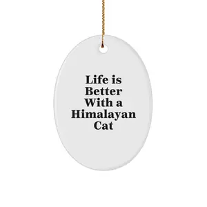Himalayan Cat Oval Ornament Gifts from Men to Cute Friends for Christmas