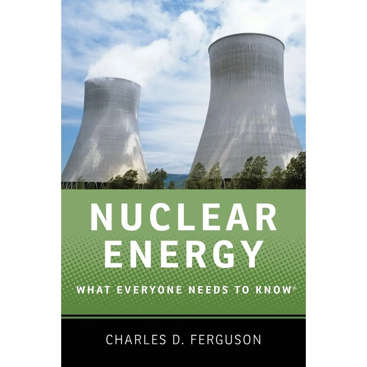 Nuclear Energy: What Everyone Needs to Know® 1st Edition
