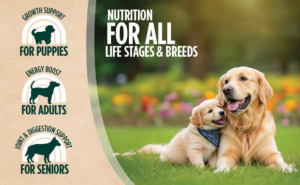 ZEAL Salmon & Duck Air-Dried Dog Food | 1lb Pack | Expires June & Nov 2026 | Grain-Free, High Protein, Healthy Joints & Coat